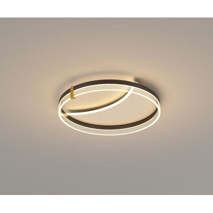 Brilagi - Zatemnljivo LED stropno svetilo SIRELI LED/47W/230V 3000-6000K, premer 40 cm + daljinski upravljalnik
