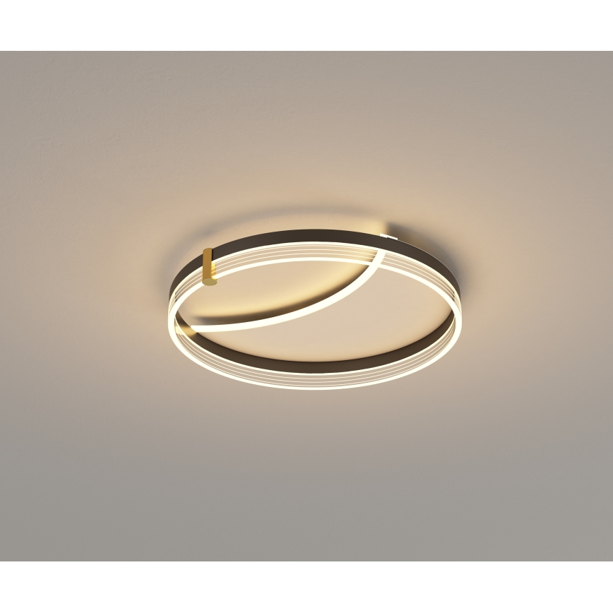 Brilagi - Zatemnljivo LED stropno svetilo SIRELI LED/47W/230V 3000-6000K, premer 40 cm + daljinski upravljalnik
