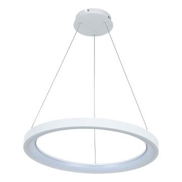 Brilagi - LED zatemnjiva viseča svetilka na kablu FALCON SLIM LED/42W/230V 3000–6500K premer 50 cm bela + daljinski upravljalnik