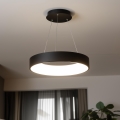 Brilagi - LED zatemnjiva viseča svetilka na obesnem kablu FALCON LED/80W/230V 3000-6500K, premer 60 cm, črna + daljinski upravljalnik