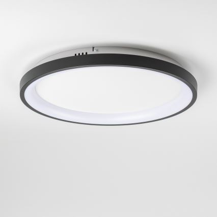 Brilagi - LED zatemnljivo stropno svetilo FALCON SLIM LED/42W/230V 3000-6500K premer 50 cm črna + daljinski upravljalnik