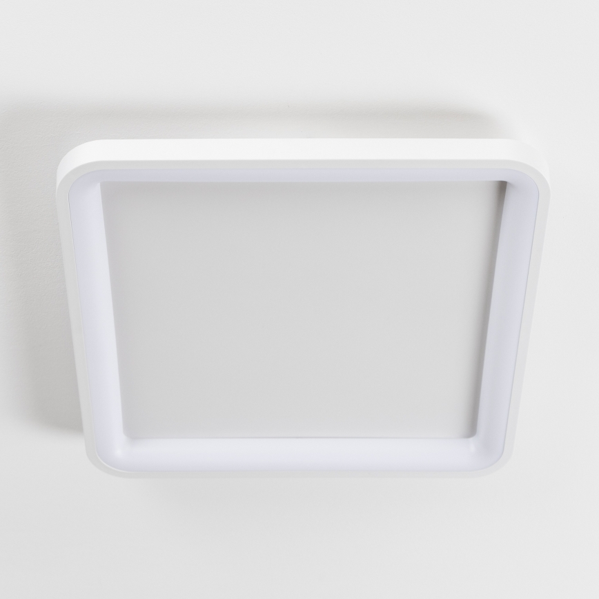 Brilagi - LED zatemnjiva stropna svetilka FALCON SLIM LED/50W/230V 3000-6500K 50x50 cm bela + daljinski upravljalnik