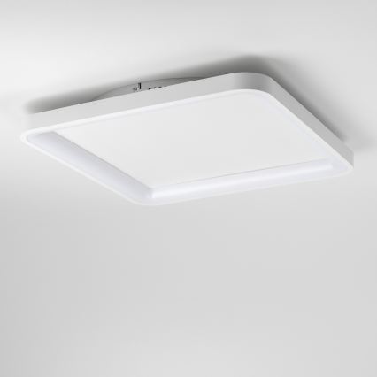 Brilagi - LED zatemnjiva stropna svetilka FALCON SLIM LED/50W/230V 3000-6500K 50x50 cm bela + daljinski upravljalnik