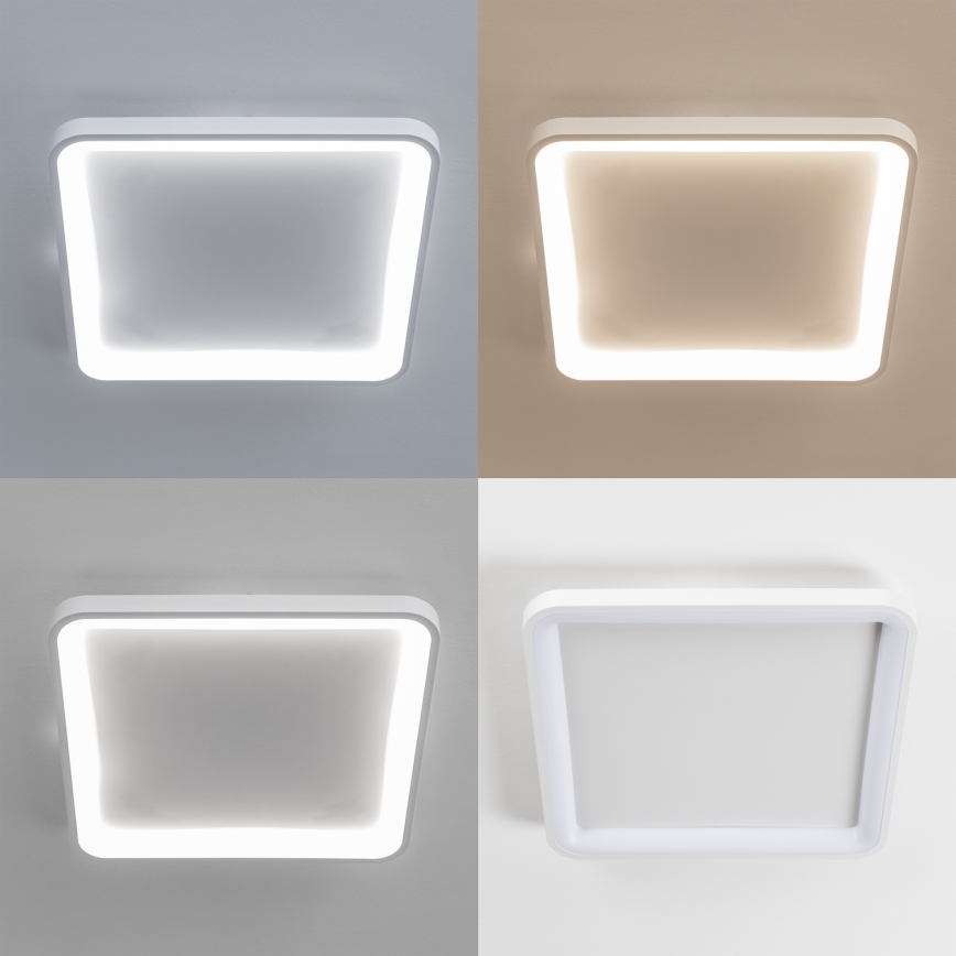 Brilagi - LED zatemnjiva stropna svetilka FALCON SLIM LED/50W/230V 3000-6500K 50x50 cm bela + daljinski upravljalnik