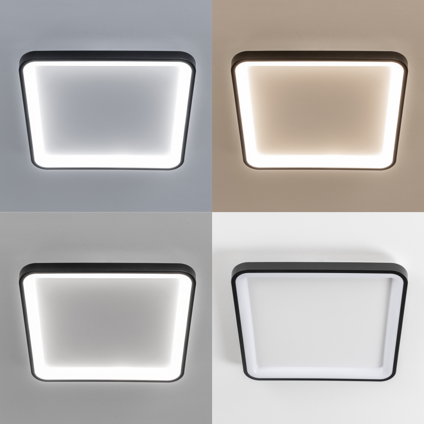 Brilagi - LED zatemnjevalno stropno svetilo FALCON SLIM LED/50W/230V 3000-6500K 50x50 cm črna + daljinski upravljalnik