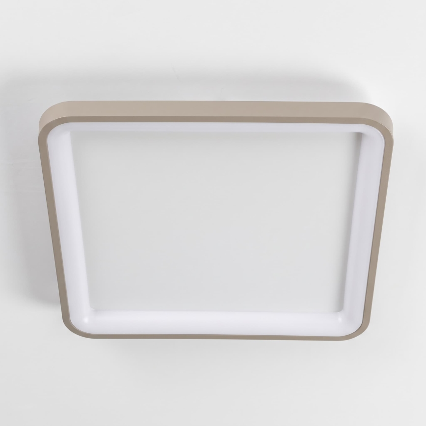BRILAGI - LED stropna svetilka FALCON SLIM z možnostjo zatemnitve LED/50W/230V 3000-6500K 50x50 cm bela/bež + daljinski upravljalnik
