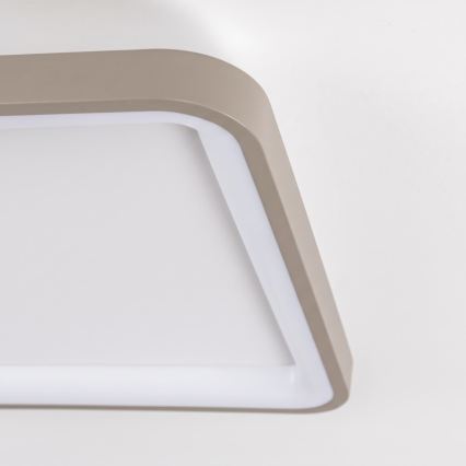 BRILAGI - LED stropna svetilka FALCON SLIM z možnostjo zatemnitve LED/50W/230V 3000-6500K 50x50 cm bela/bež + daljinski upravljalnik