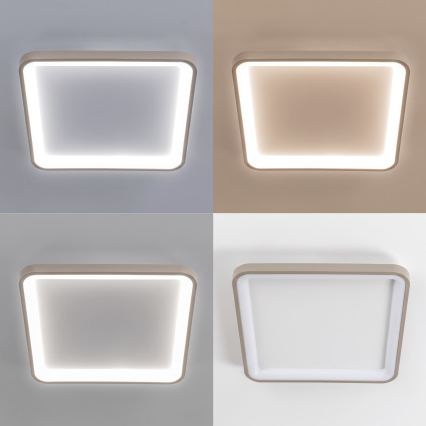 BRILAGI - LED stropna svetilka FALCON SLIM z možnostjo zatemnitve LED/50W/230V 3000-6500K 50x50 cm bela/bež + daljinski upravljalnik