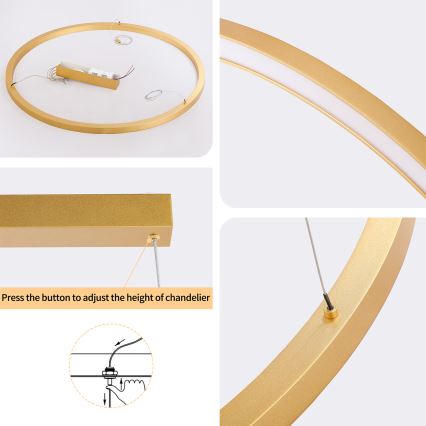 Brilagi - LED lestenec z možnostjo zatemnitve na kablu PORTOFINO LED/60W/230V 3000-6000K premer 80 cm zlati + daljinski upravljalnik