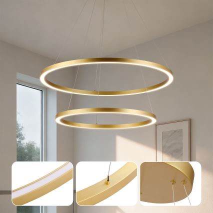 Brilagi - LED zatemljiv lestenec na kablu PORTOFINO LED/98W/230V 3000-6000K premer 80 cm zlata + daljinski upravljalnik