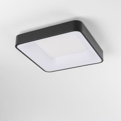 Brilagi - LED stropna svetilka z zatemnjevanjem FALCON II LED/80W/230V 3000-6500K 40x40 cm črna + daljinski upravljalnik