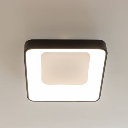 Brilagi - LED stropna svetilka z zatemnjevanjem FALCON II LED/80W/230V 3000-6500K 40x40 cm črna + daljinski upravljalnik