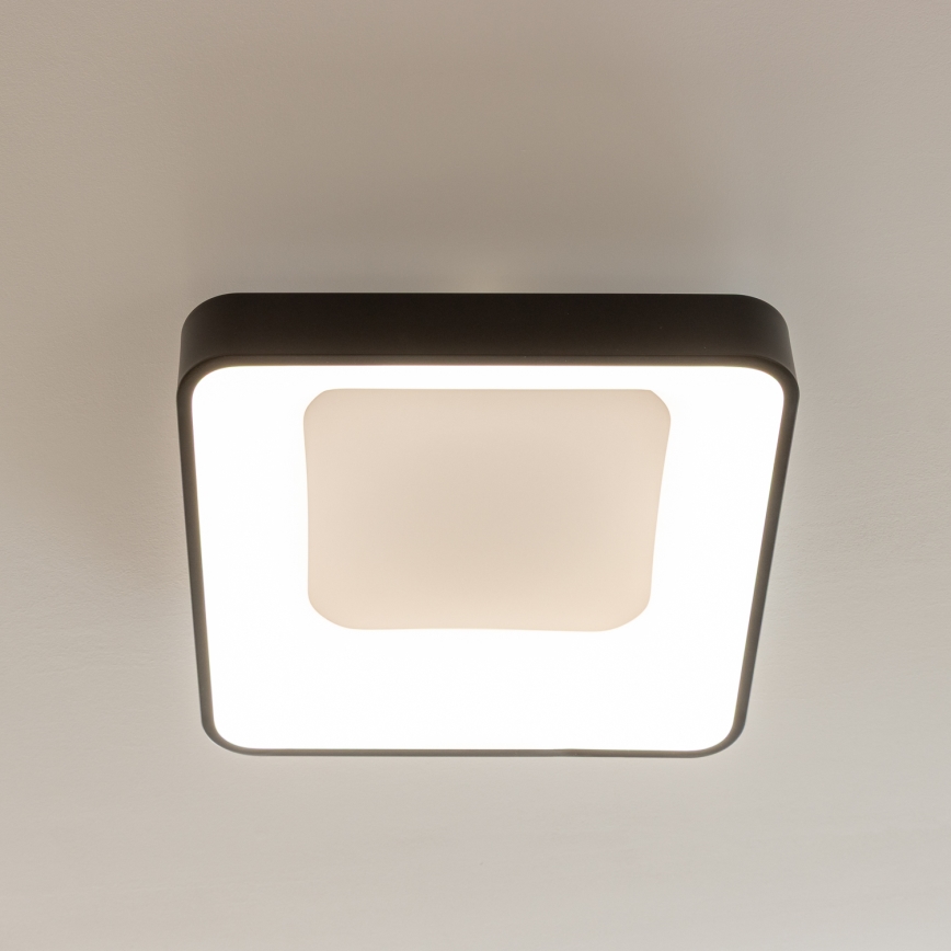 Brilagi - LED stropna svetilka z zatemnjevanjem FALCON II LED/80W/230V 3000-6500K 40x40 cm črna + daljinski upravljalnik