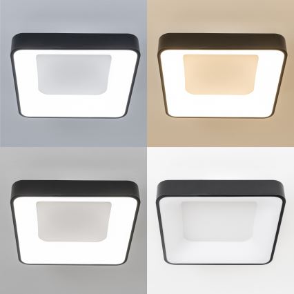 Brilagi - LED stropna svetilka z zatemnjevanjem FALCON II LED/80W/230V 3000-6500K 40x40 cm črna + daljinski upravljalnik