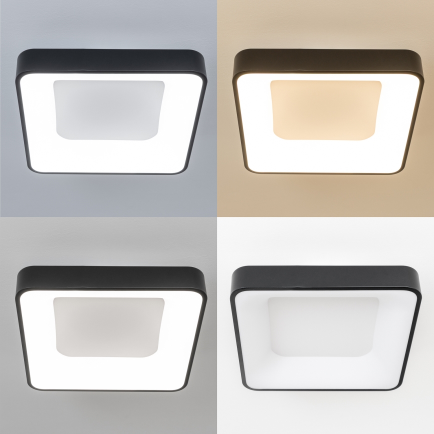 Brilagi - LED stropna svetilka z zatemnjevanjem FALCON II LED/80W/230V 3000-6500K 40x40 cm črna + daljinski upravljalnik