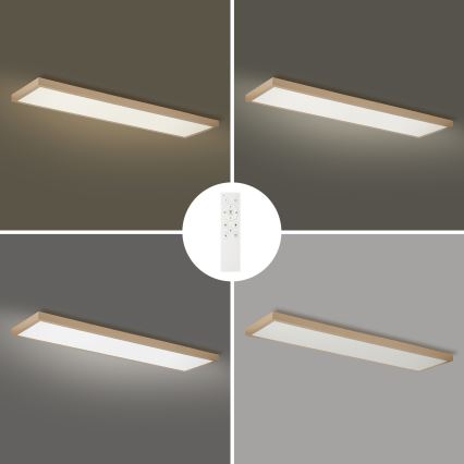 Brilagi - Zatemnljivo LED kopalniško stropno svetilo FRAME SMART LED/50W/230V 120x30 cm 3000-6000K IP44 bežna + daljinski upravljalnik