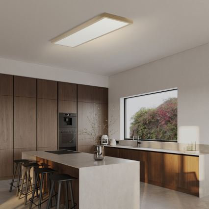 Brilagi - Zatemnljivo LED kopalniško stropno svetilo FRAME SMART LED/50W/230V 120x30 cm 3000-6000K IP44 bežna + daljinski upravljalnik