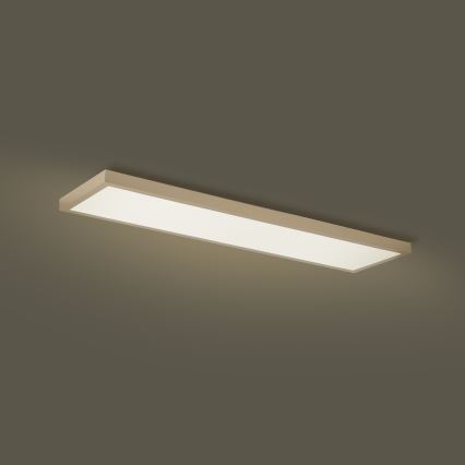 Brilagi - Zatemnljivo LED kopalniško stropno svetilo FRAME SMART LED/50W/230V 120x30 cm 3000-6000K IP44 bežna + daljinski upravljalnik