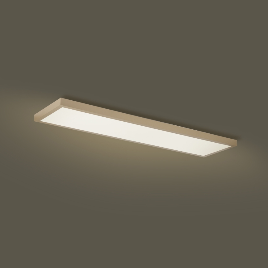 Brilagi - Zatemnljivo LED kopalniško stropno svetilo FRAME SMART LED/50W/230V 120x30 cm 3000-6000K IP44 bežna + daljinski upravljalnik