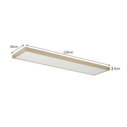 Brilagi - Zatemnljivo LED kopalniško stropno svetilo FRAME SMART LED/50W/230V 120x30 cm 3000-6000K IP44 bežna + daljinski upravljalnik