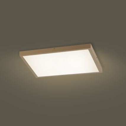 Brilagi - LED zatemnjevalna kopalniška stropna svetilka FRAME SMART LED/50W/230V 60x60 cm 3000-6000K IP44 bež + daljinski upravljalnik