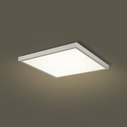 Brilagi - LED zatemnljiva stropna svetilka za kopalnico FRAME SMART LED/50W/230V 60x60 cm 3000-6000K IP44 srebrna + z daljinskim upravljalnikom
