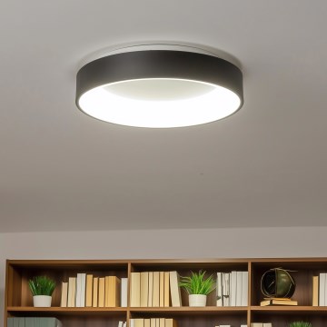 Brilagi - LED zatemnljivo stropno svetilo FALCON LED/40W/230V 3000-6500K premer 45 cm črna + daljinski upravljalnik