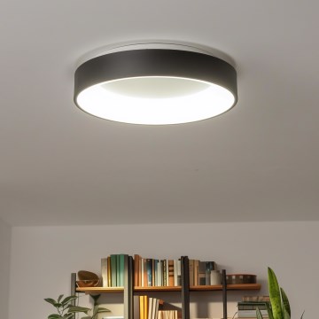 Brilagi - LED zatemnljivo stropno svetilo FALCON LED/80W/230V 3000-6500K premer 60 cm črna + daljinski upravljalnik