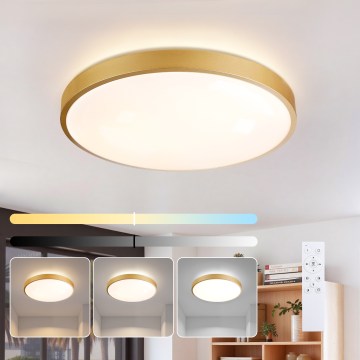 Brilagi - LED zatemnljivo stropno svetilo GLASS POOL DOUBLE LED/60W/230V 3000-6000K 50 cm zlato + daljinski upravljalnik