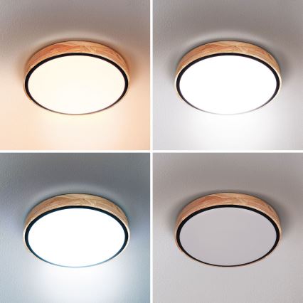 Brilagi - Zatemnjevalna LED stropna svetilka GLORIA LED/48W/230V 3000-6500K, hrast, premer 40 cm + daljinski upravljalnik