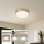 Brilagi - LED zatemnljivo stropno svetilo POOL LED/24W/230V 3000-6000K premer 20 cm zlato + daljinski upravljalnik