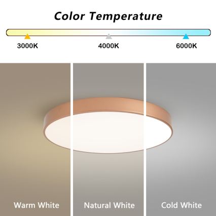 Brilagi - LED zatemnljivo stropno svetilo POOL LED/60W/230V 3000-6000K premer 60 cm, bronasto + daljinski upravljalnik