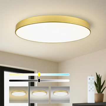 Brilagi - LED zatemnljivo stropno svetilo POOL SMART LED/128W/230V 3000-6000K 100 cm zlato Wi-Fi Tuya + daljinski upravljalnik