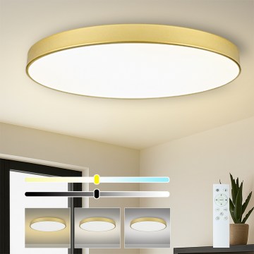 Brilagi - LED zatemnljivo stropno svetilo POOL SMART LED/180W/230V 3000-6000K 120 cm zlato Wi-Fi Tuya + daljinski upravljalnik