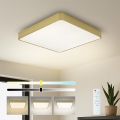 Brilagi - LED zatemnljivo stropno svetilo POOL SQUARE LED/36W/230V 3000-6000K 40x40 cm zlato + daljinski upravljalnik