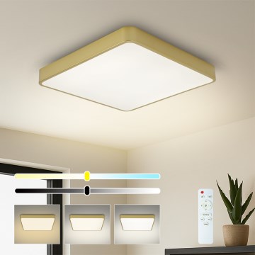 Brilagi - LED zatemnljivo stropno svetilo POOL SQUARE LED/36W/230V 3000-6000K 40x40 cm zlato + daljinski upravljalnik