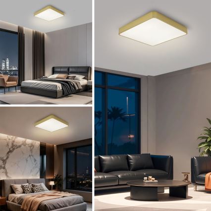 Brilagi - LED stropna svetilka z zatemnitvijo POOL SQUARE LED/48W/230V 3000-6000K 50x50 cm zlata + z daljinskim upravljalnikom