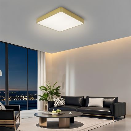 Brilagi - LED stropna svetilka z zatemnitvijo POOL SQUARE LED/48W/230V 3000-6000K 50x50 cm zlata + z daljinskim upravljalnikom