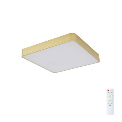 Brilagi - LED stropna svetilka z zatemnitvijo POOL SQUARE LED/48W/230V 3000-6000K 50x50 cm zlata + z daljinskim upravljalnikom