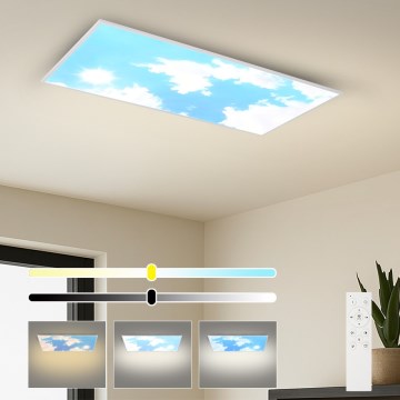 Brilagi - LED zatemnljivo stropno svetilo SLIMFRAME SKY LED/80W/230V 120x60 cm 3000-6000K srebrna/modra + daljinski upravljalnik