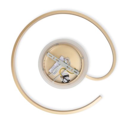 Brilagi - LED zatemnjiva stropna svetilka SPIRAL LED/56W/230V premera 50 cm 3000/4000/6000K + daljinski upravljalnik