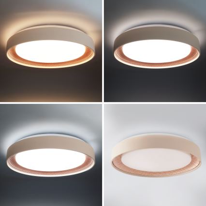 Brilagi - LED zatemnjiva stropna svetilka WALDO LED/48W/230V 3000-6500K premer 40 cm bežna/zlata + daljinski upravljalnik