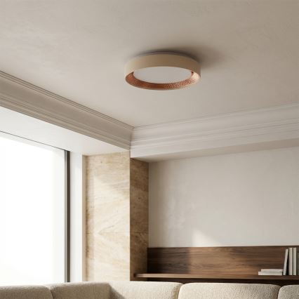 Brilagi - LED zatemnjiva stropna svetilka WALDO LED/48W/230V 3000-6500K premer 40 cm bežna/zlata + daljinski upravljalnik
