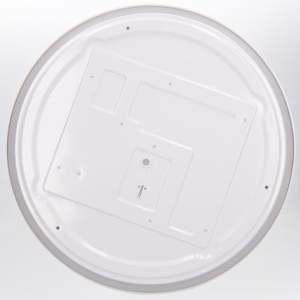 Brilagi - LED zatemnjiva stropna svetilka WALDO LED/48W/230V 3000-6500K premer 40 cm bežna/zlata + daljinski upravljalnik