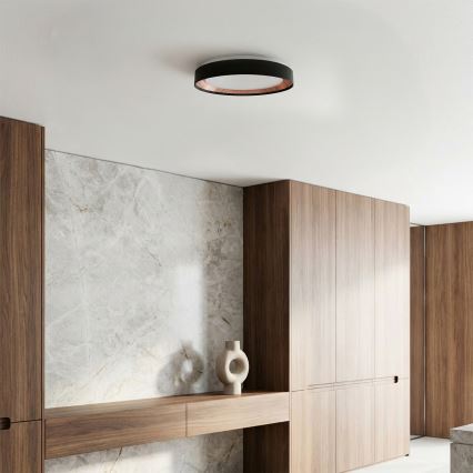 Brilagi - LED zatemnljivo stropno svetilo WALDO LED/48W/230V 3000-6500K Ø 40 cm črna/zlata + daljinski upravljalnik