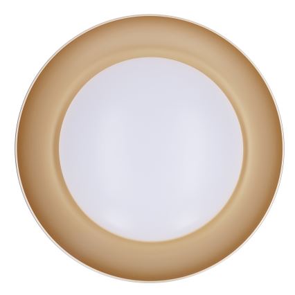 Brilagi - LED zatemnljivo stropno svetilo ALVA LED/48W/230V 3000-6500K premer 51 cm bela + daljinski upravljalnik