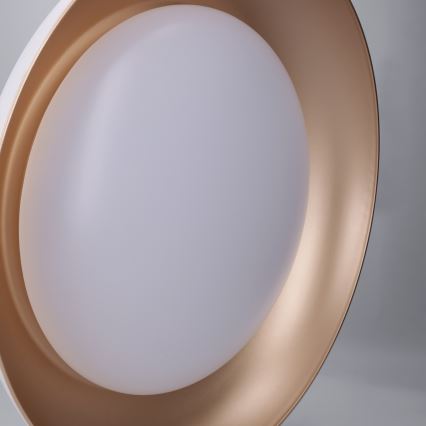 Brilagi - LED zatemnljivo stropno svetilo ALVA LED/48W/230V 3000-6500K premer 51 cm bela + daljinski upravljalnik