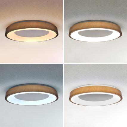 Brilagi - LED zatemnljivo stropno svetilo DORIA LED/60W/230V 3000-6500K premer 60 cm + daljinski upravljalnik