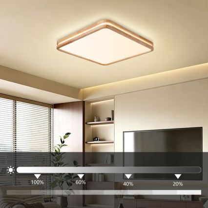 Brilagi - Zatemnjevalna LED stropna svetilka MOLINA SQUARE LED/80W/230V 3000-6000K hrast 60x60 cm + daljinski upravljalnik