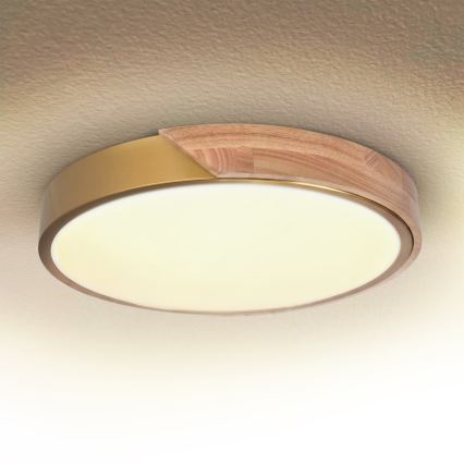 BRILAGI - LED zatemnljivo stropno svetilo PILANA LED/48W/230V 3000-6500K hrast/zlata Ø 40 cm + daljinski upravljalnik